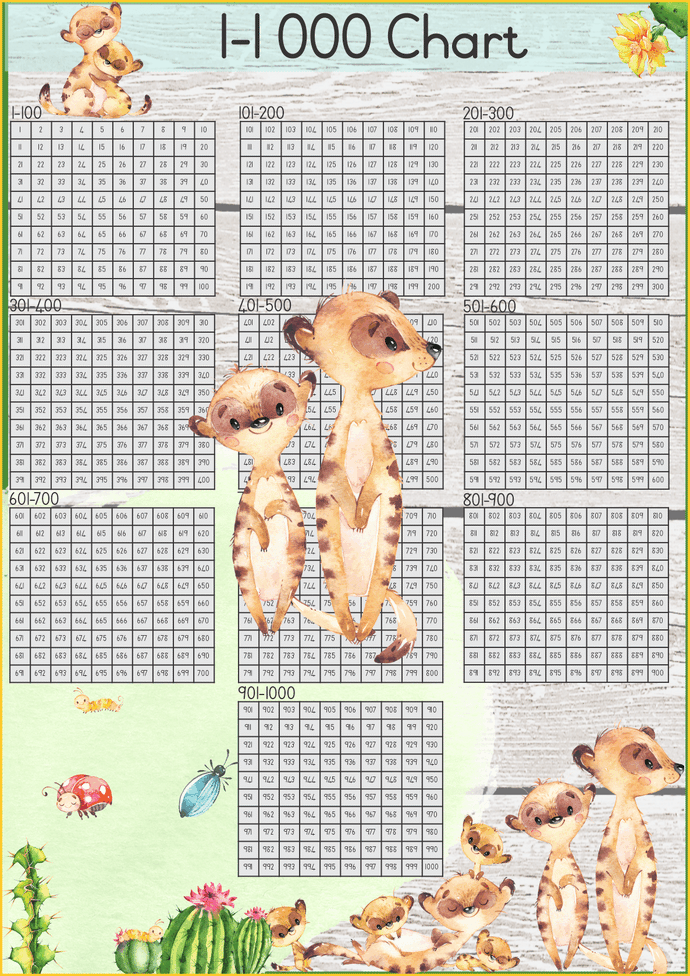 1- 1000 counting block -Meerkat