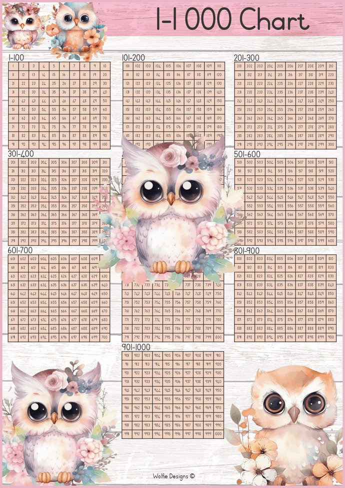 1- 1000 counting block -Owls 3