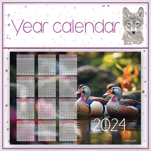 Duck Year calendar 2024