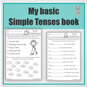 My basic tenses book