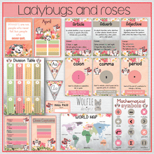 Load image into Gallery viewer, Intermediate Class Theme - Ladybugs and roses
