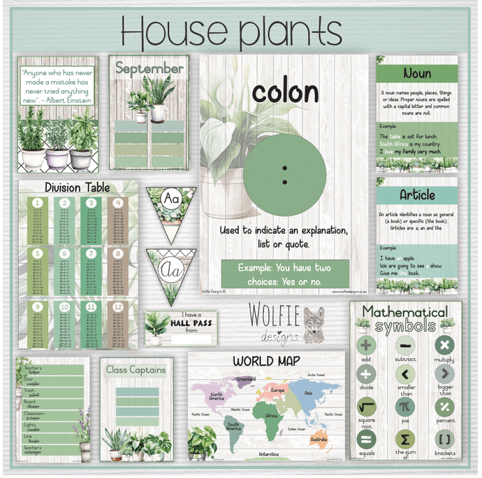 Intermediate Class Theme - House plants