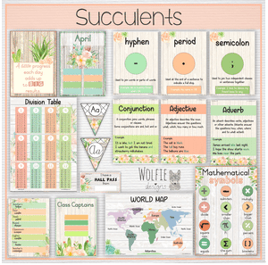 Intermediate Class Theme - Succulents