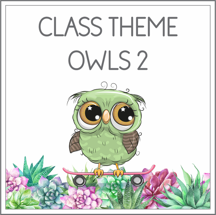Intermediate Class Theme - Owls 2