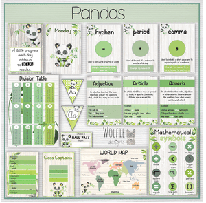 Intermediate Class Theme - Panda