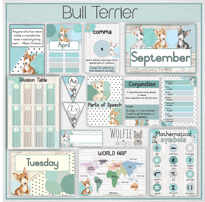 Intermediate Class Theme - Bull Terrier