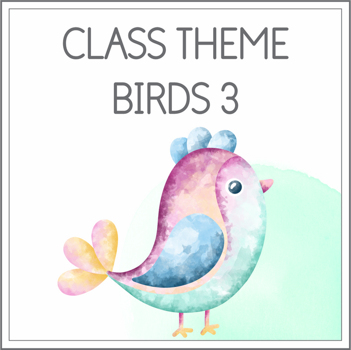 Class theme - birds 3