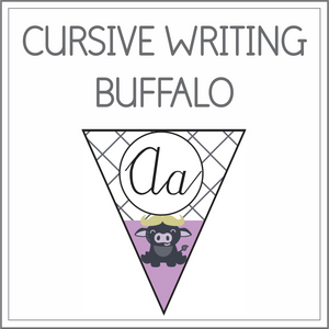 Cursive writing flags - buffalo