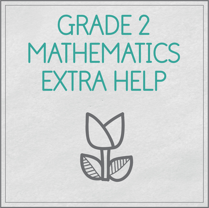 Grade 2 Mathematics extra help