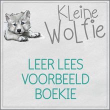 Load image into Gallery viewer, Kleine Wolfie leer lees VOORBEELD boekie
