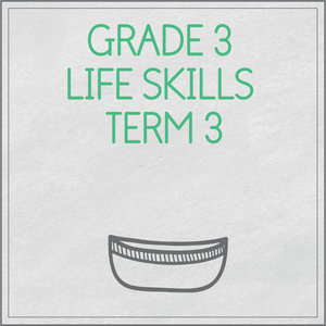Grade 3 Life Skills Term 3