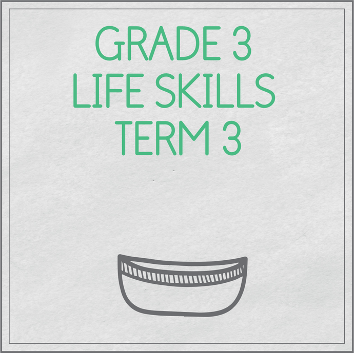 Grade 3 Life Skills Term 3