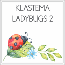Load image into Gallery viewer, Klastema - ladybugs 2
