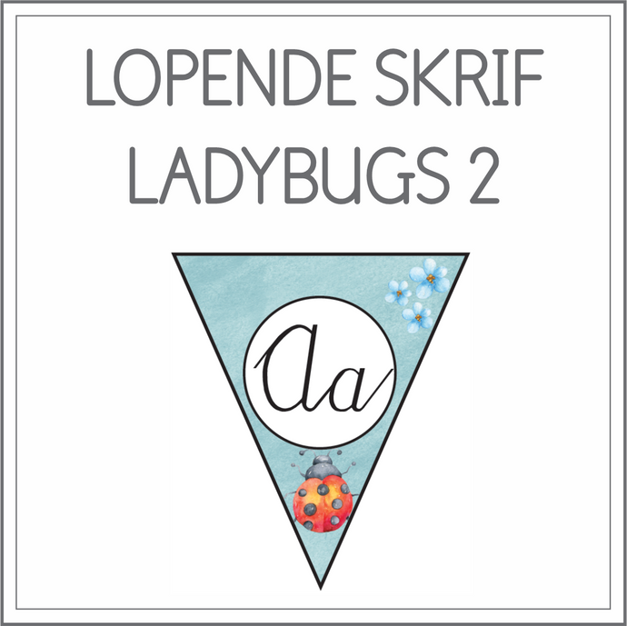 Lopende skrif vlaggies - ladybugs 2
