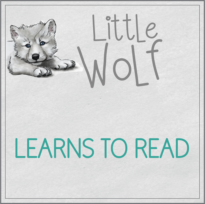 Little Wolf learns to read