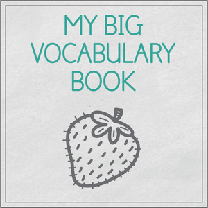 My big vocabulary book