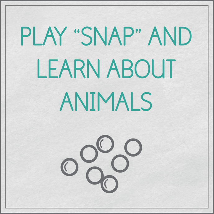 Play SNAP and learn about animals