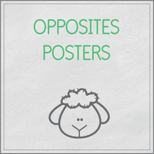 Load image into Gallery viewer, Opposites posters

